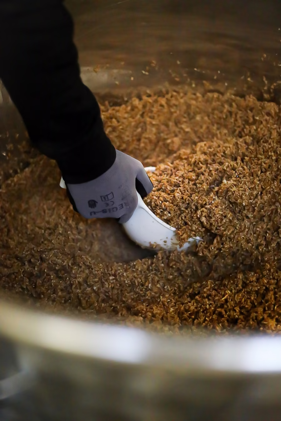 Brasseur ganté vidant à la pelle la drêche de la cuve d’empâtage.