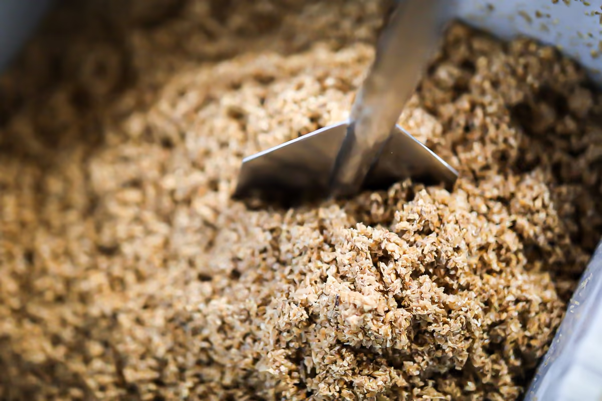 Malt concassé brassé à la pale dans la cuve d’empâtage.